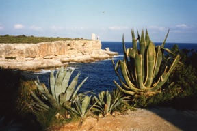 CALA FIGUERA
